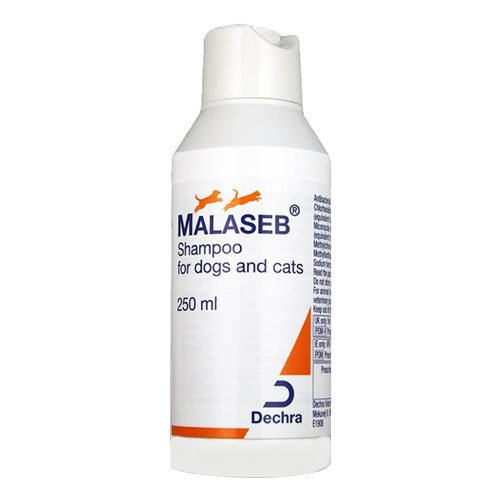 Malaseb Shampoo 250 mL